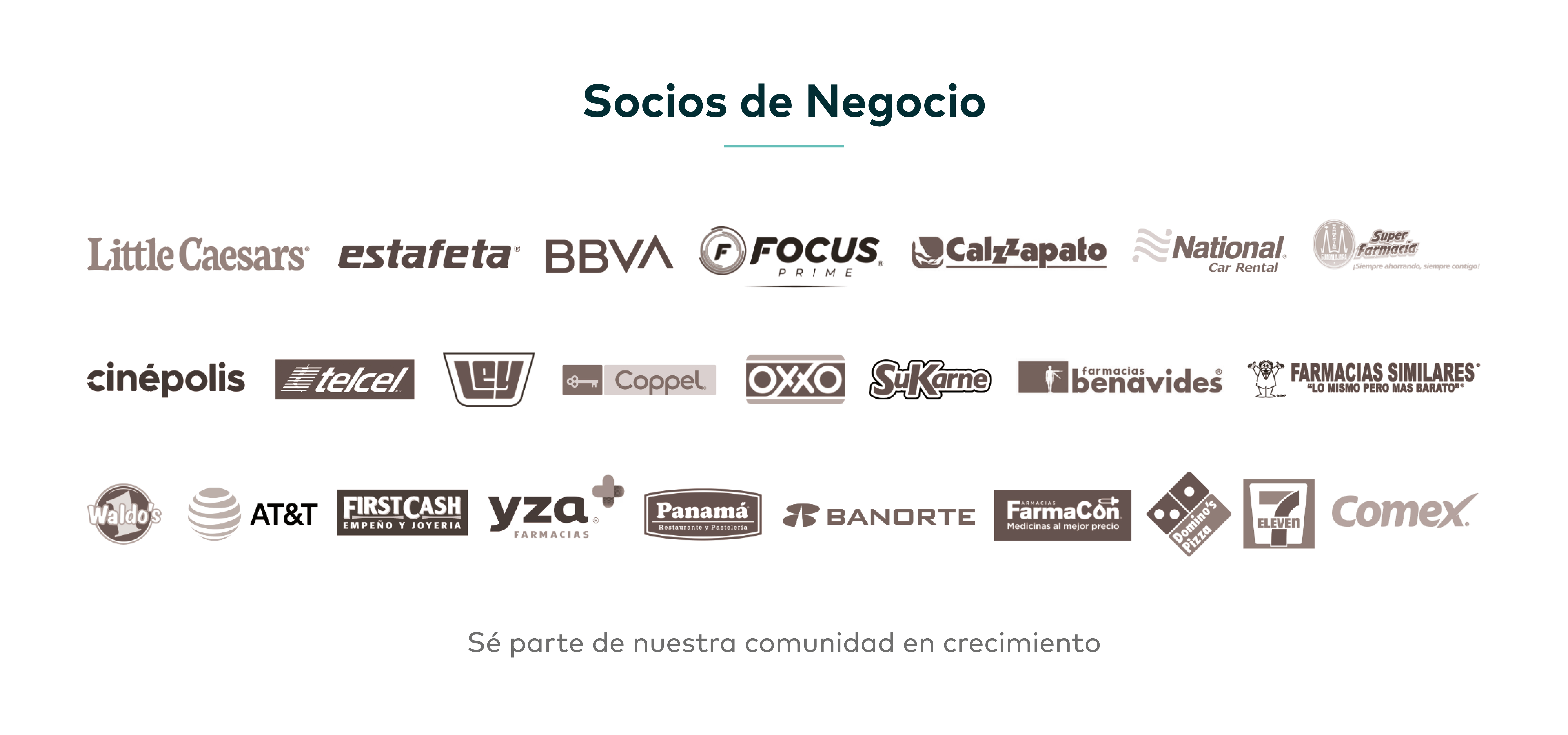 Socios de Finco